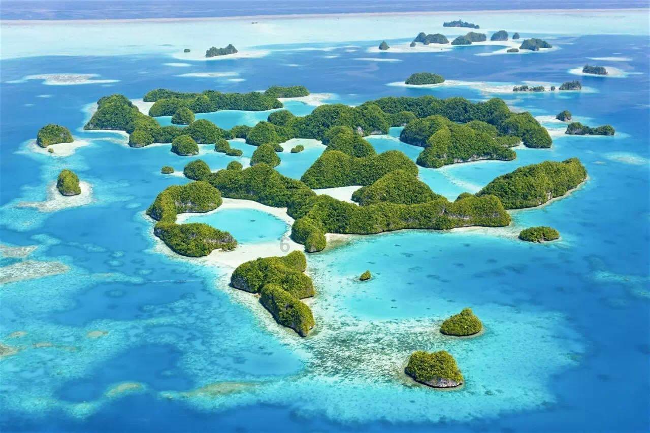命运骰子